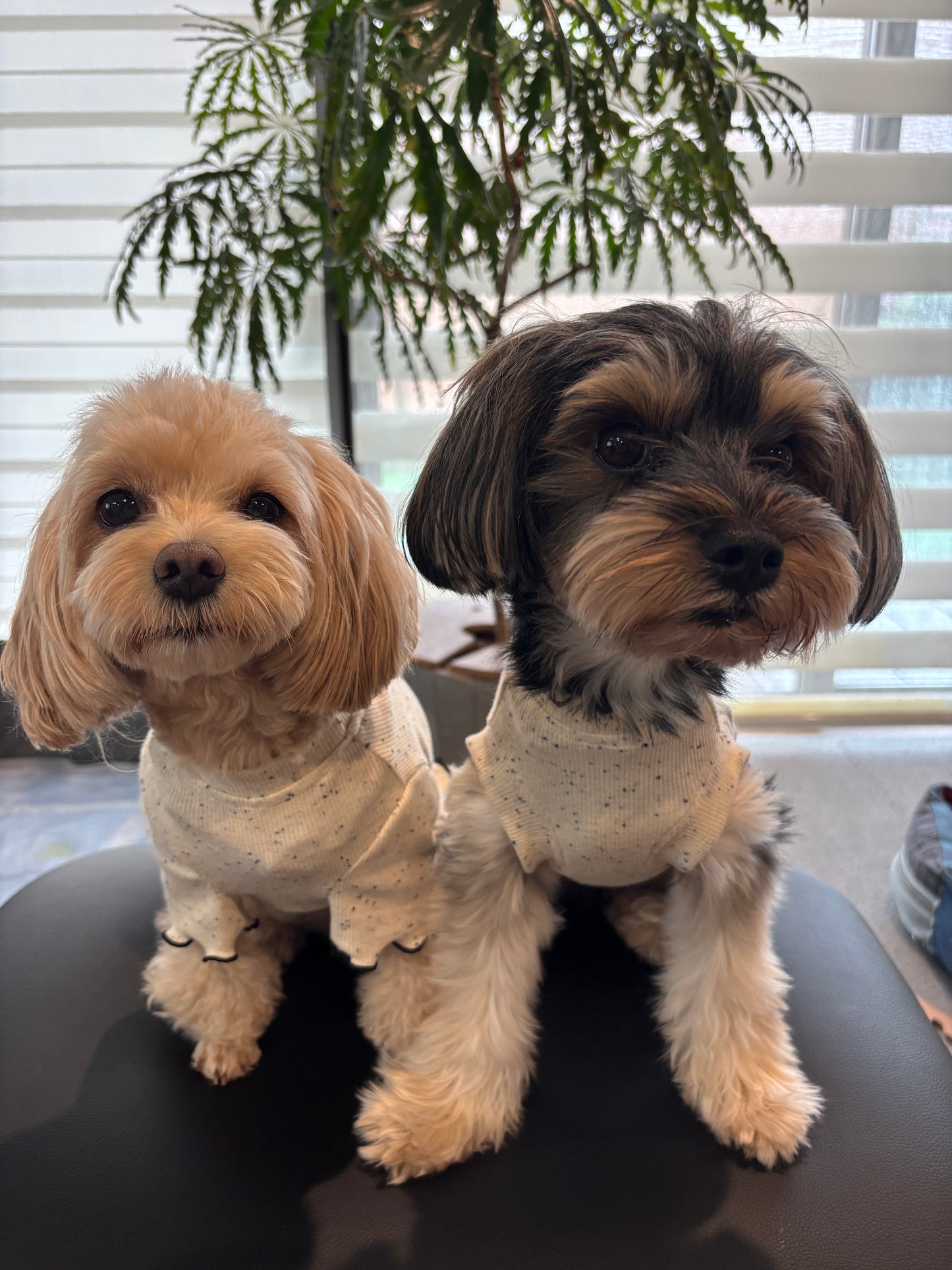 🍪クッキークリームタンクトップ W27