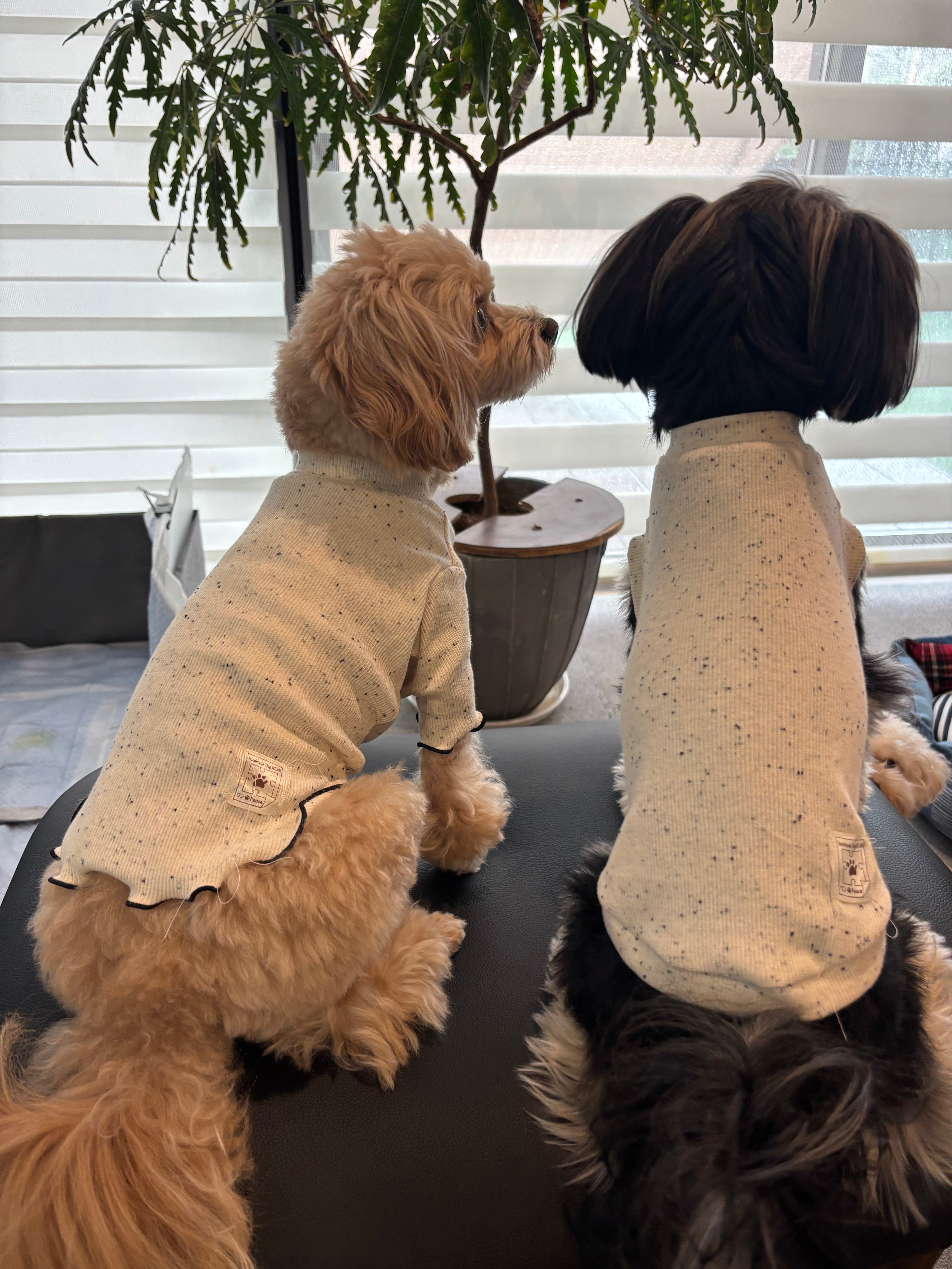 handmade DogWEAR ワン🐾Peace – ワン🐾Peace（ワンピース